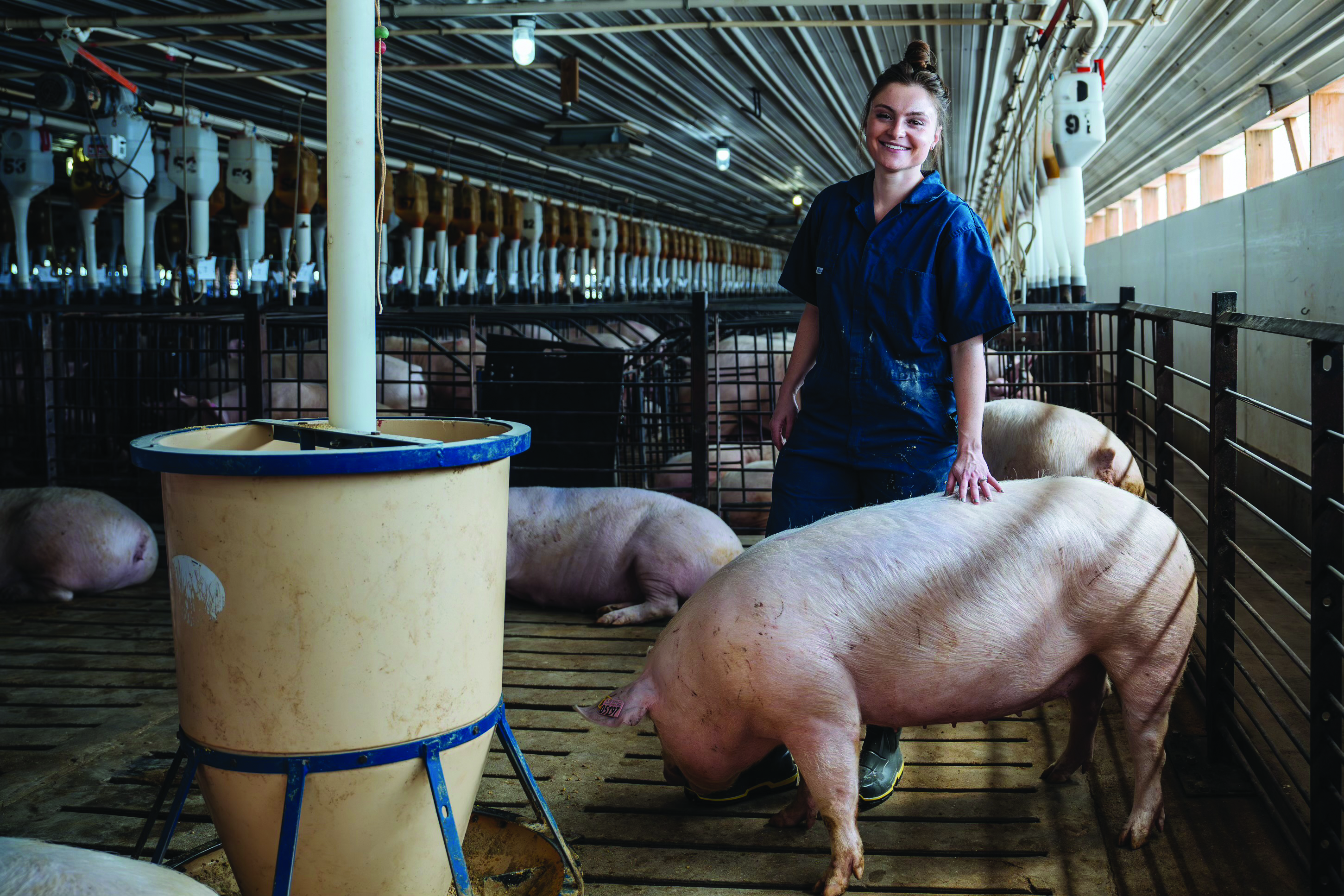 Brooke Kitting '18 in a swine center with pigs around her.