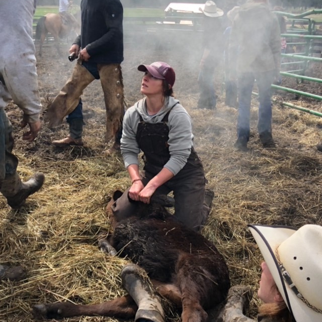 Christine Lambert is working with an animal in michigan. 