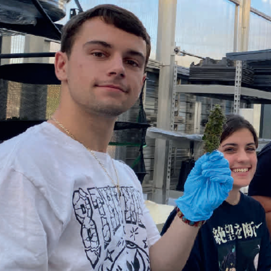 Vincent Petula is wearing gloves and holding a bud of cannabis.