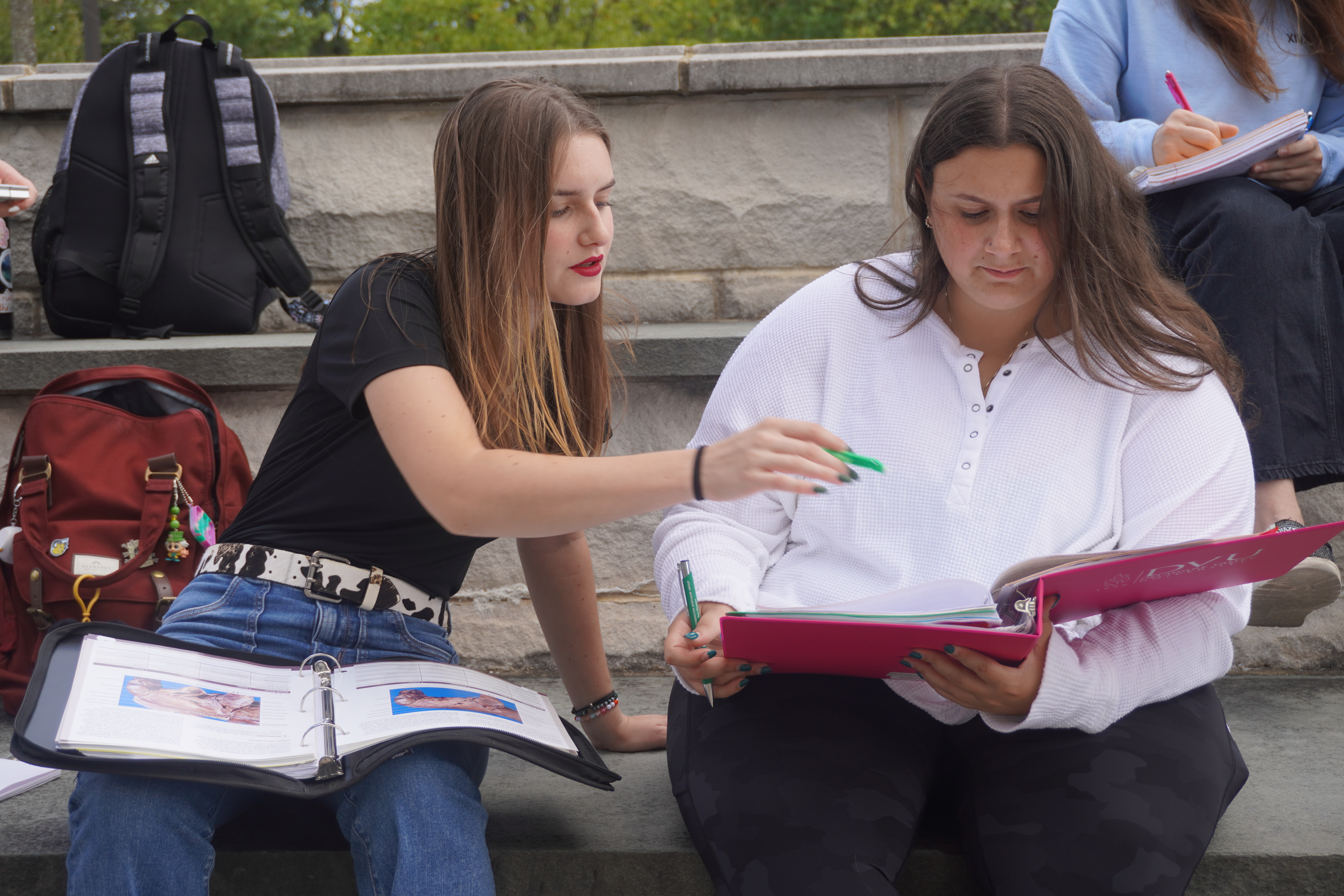 Two students are looking at a textbook outdoors.