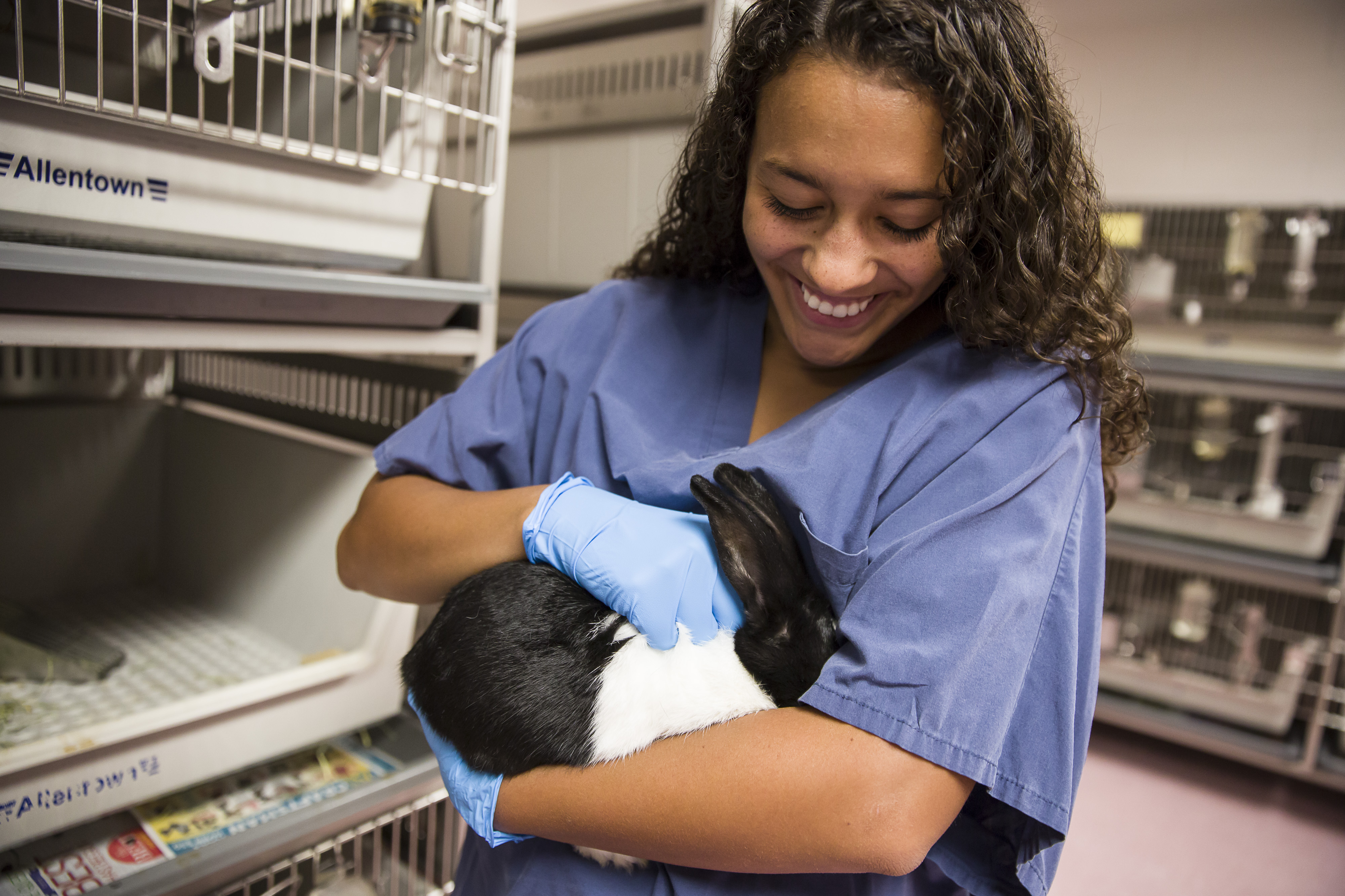 A student is handling a small rodent, in the small animal science lab
