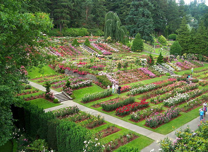 The International Rose Test Garden