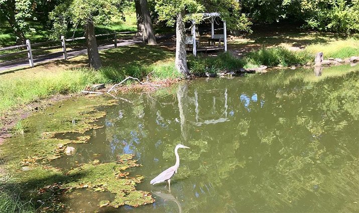 Lake Archer at DelVal