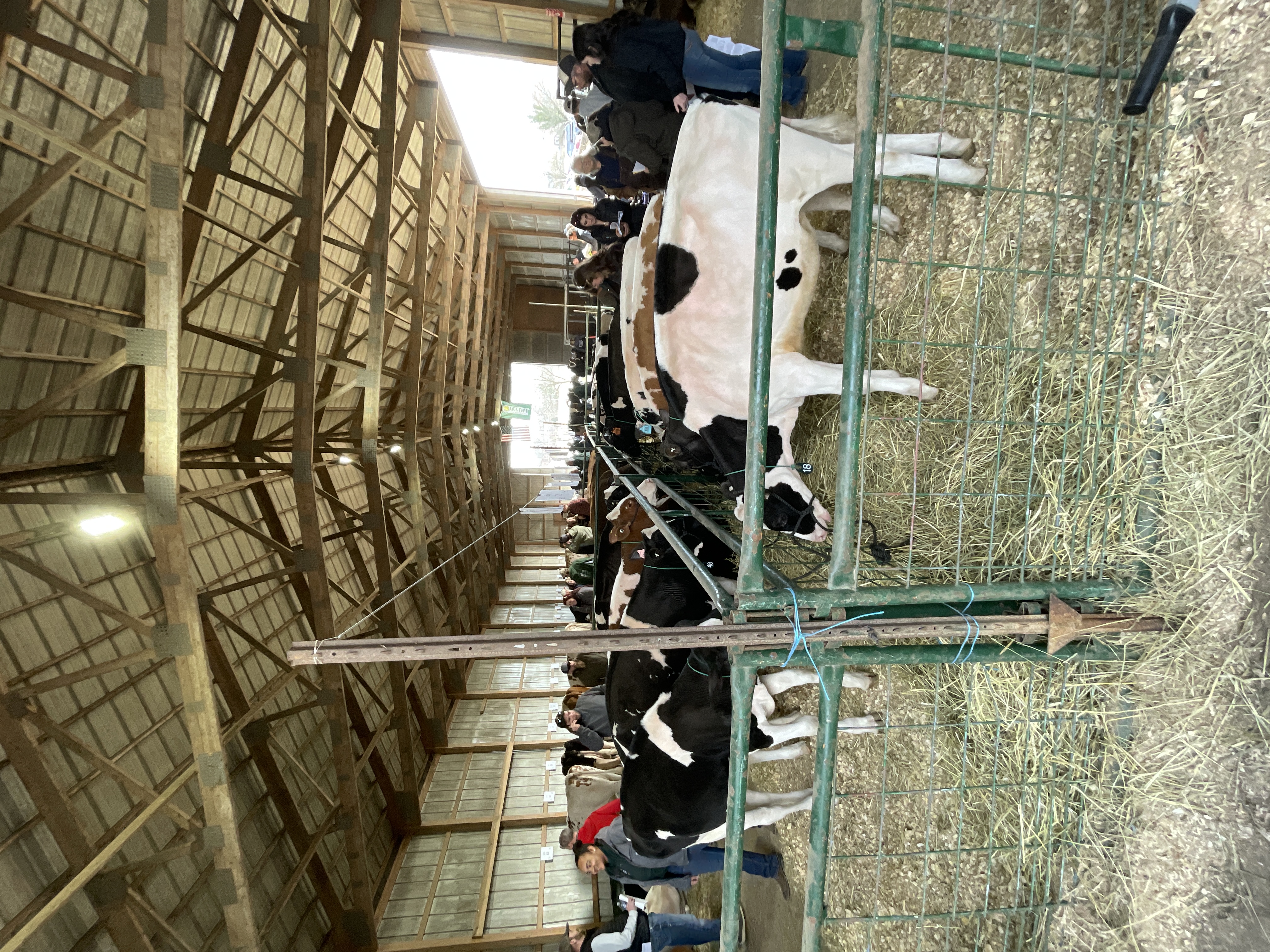 2025 Dairy Show Prep