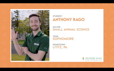 Anthony Rago