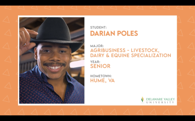 Darian Poles