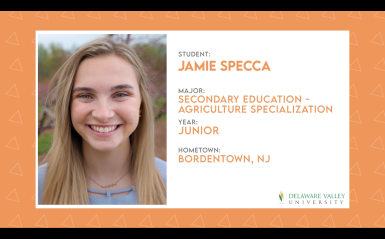 Jamie Specca