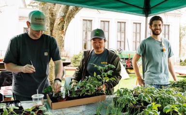 Horticulture society selling plants