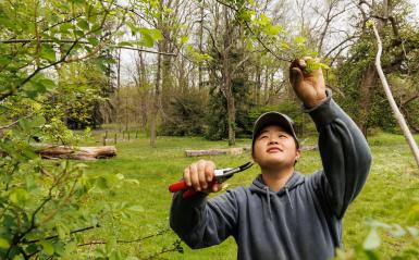 Larissa is cutting a branch in a wooded area.
