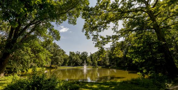Lake Archer 