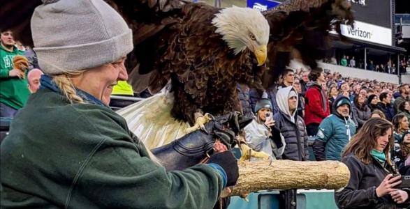 Reggie the Eagle and Laura 
