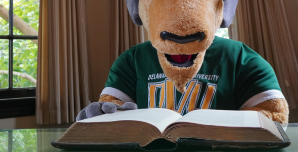 Caesar the Ram sits at a table in the library reading a very large book.