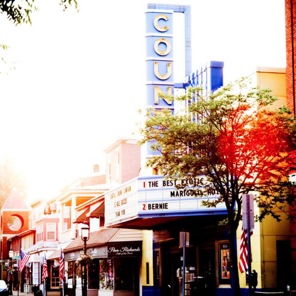 A photo of Doylestown's shops and storefronts.