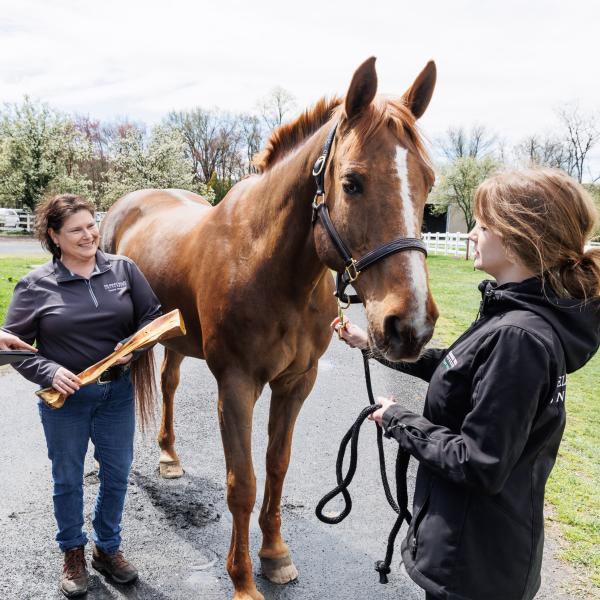 Dr. Rebecca Splan is holding a horse bone, while standing beside a horse, and smiling at a student in front of her..