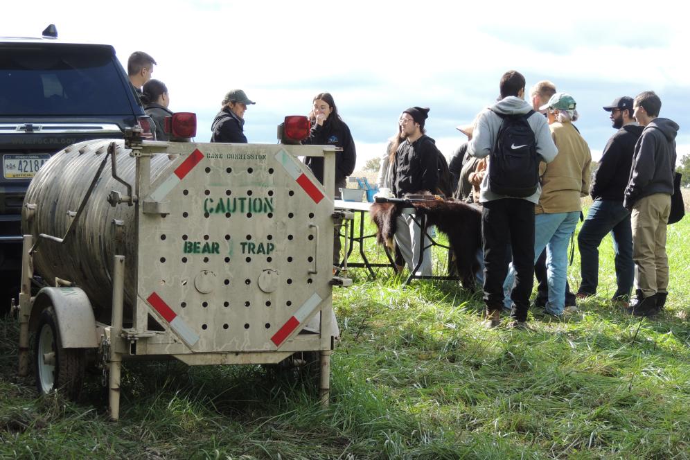 Conservation and wildlife students on Field Day at the Gemmill property
