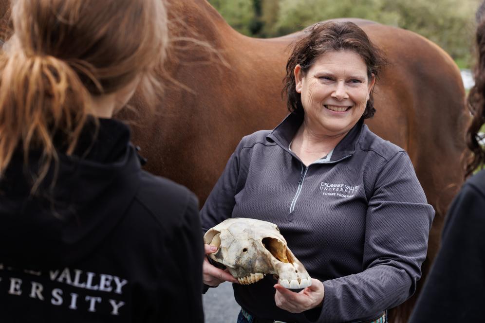 Rebecca Splan is holding a horse skull and working with two students outdoors on horse anatomy. 