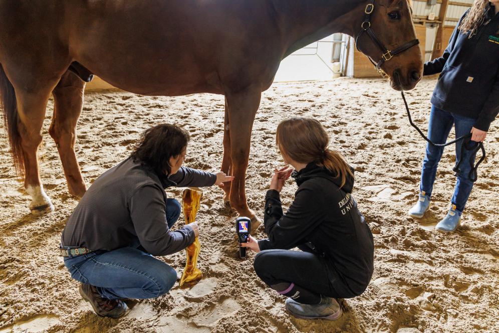 Rebecca is working with a student in the equestrian center.