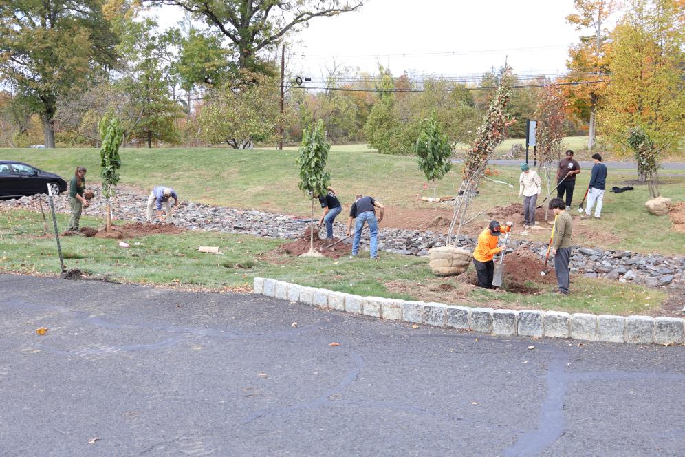 Through a 2025 Healing the Planet grant from Keep Pennsylvania Beautiful and The GIANT company, DelVal was able to plant 16 native fruit trees on campus.