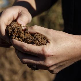 Sustainable Agriculture 