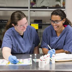 Small Animal Science