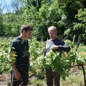 Chris Tipping, biology professor, with student in a field. 