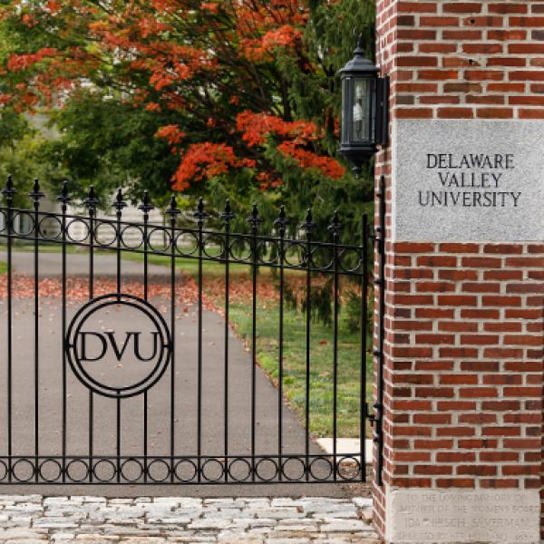 DVU Gate