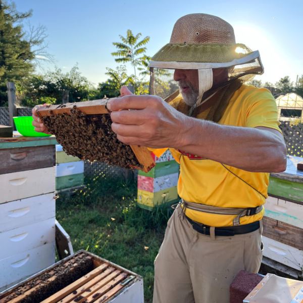 Vincent Aloyo with wearing Beekeeping Gear holding a slide of honeycomb 