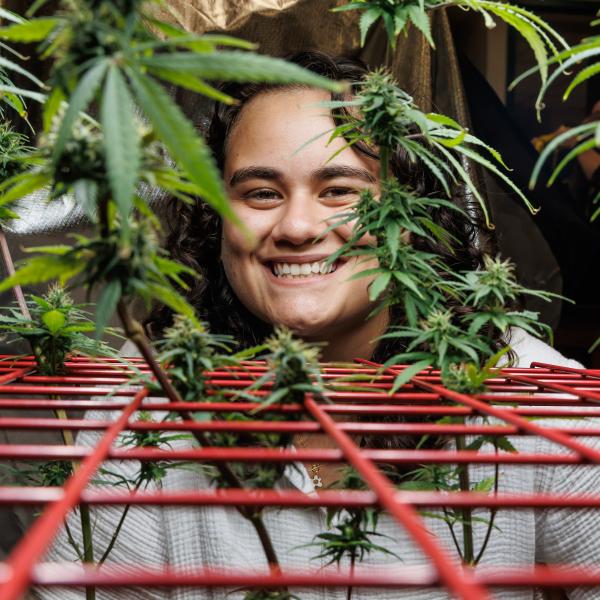 A student is smiling behind cannabis leaves. 