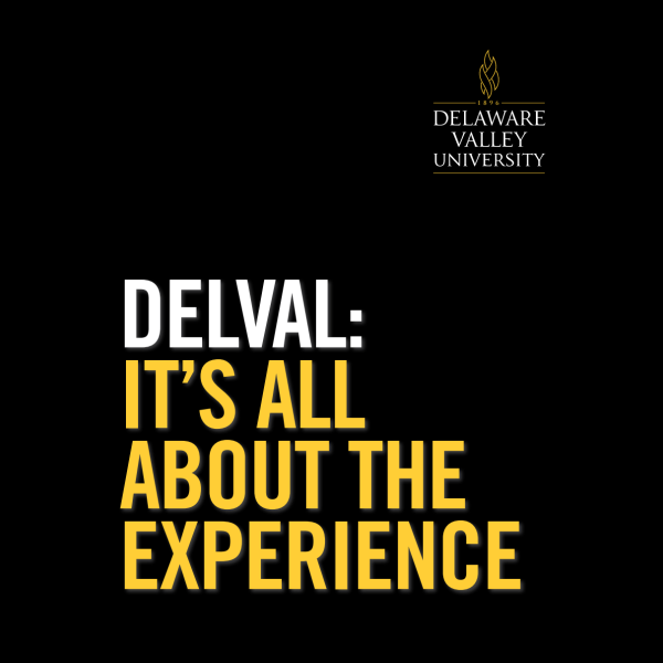 The Cover of the Viewbook, which reads "DelVAl: It's All About The Experience".