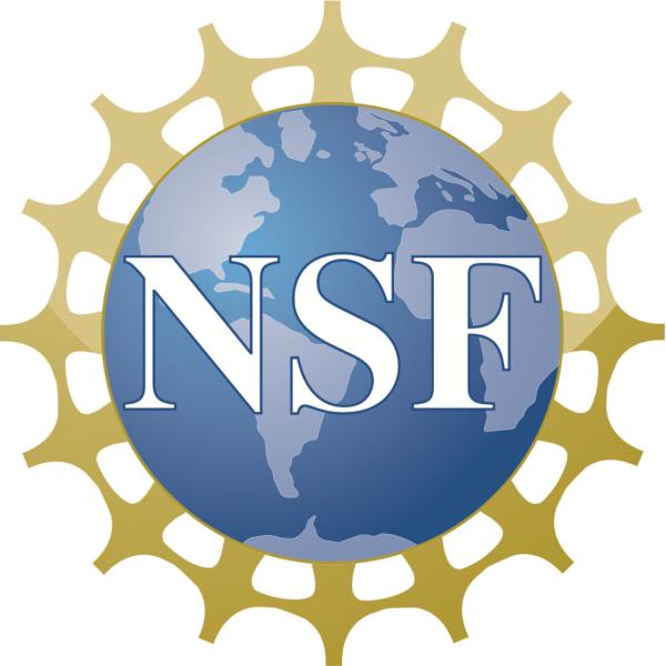 The NSF Logo