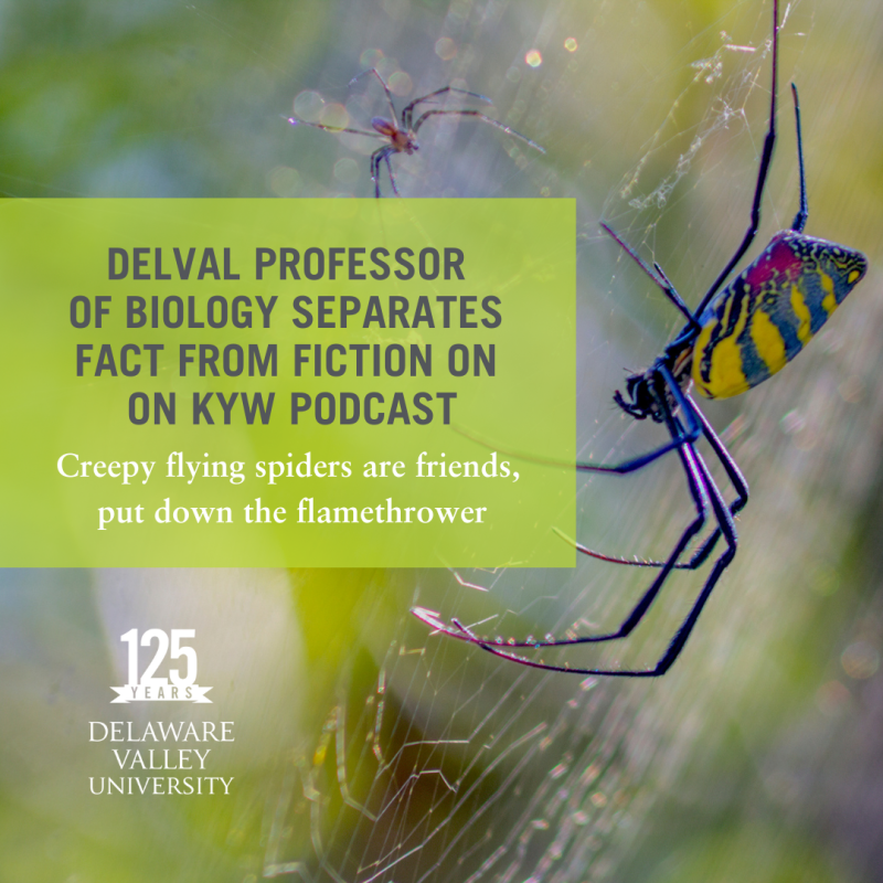 DelVal Biology Joro Spider
