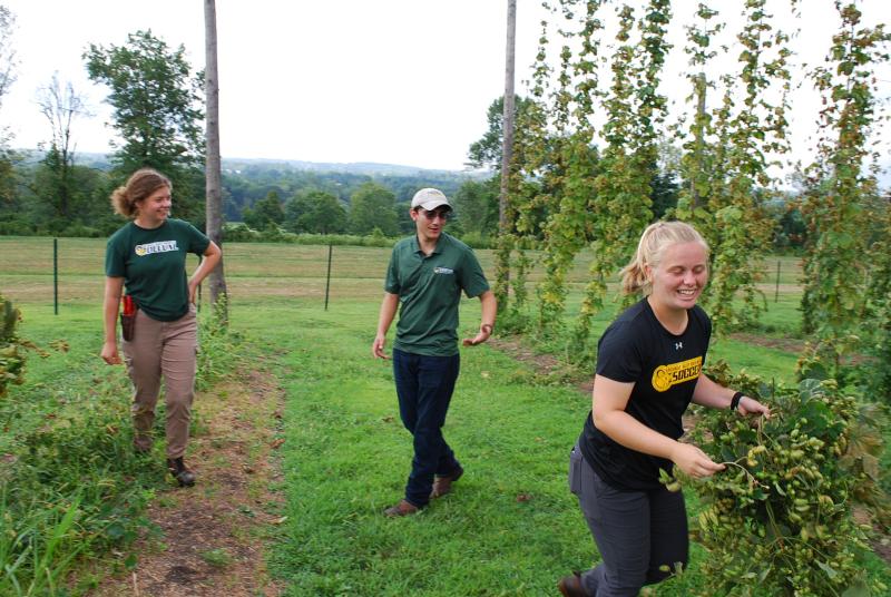 DelVal plant breeding club at Warwick Farm Brewing