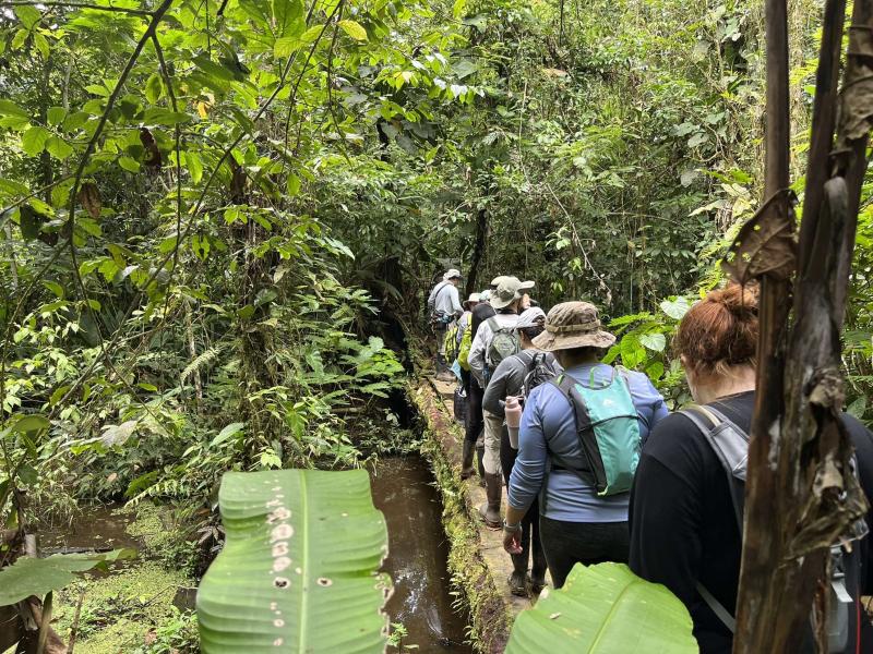 Students walking through forest