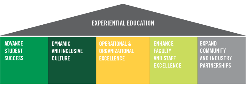An infographic describing the pillars of DelVal's strategic plan.