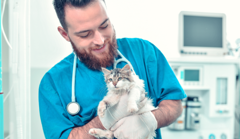 Pre-Vet Student holding a kitten