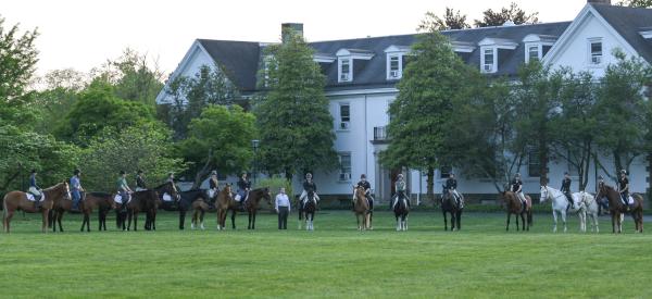 Equine Management