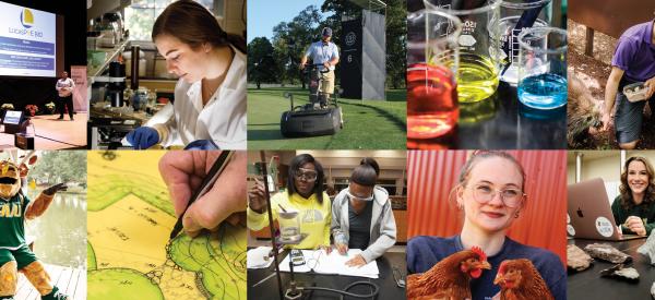 A collage of photos of students working in their major. 