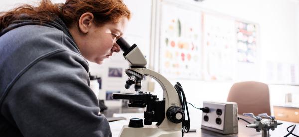 A student is looking through a microscope. 