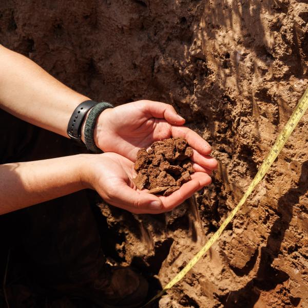 Two hands are holding a pile of soil. 