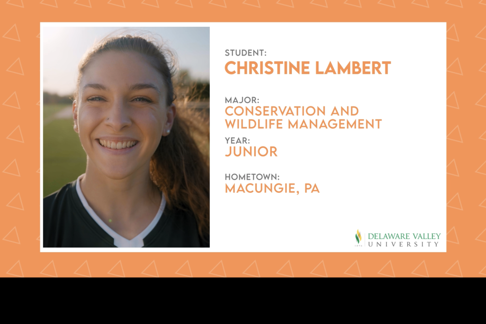 Christine Lambery Key frame