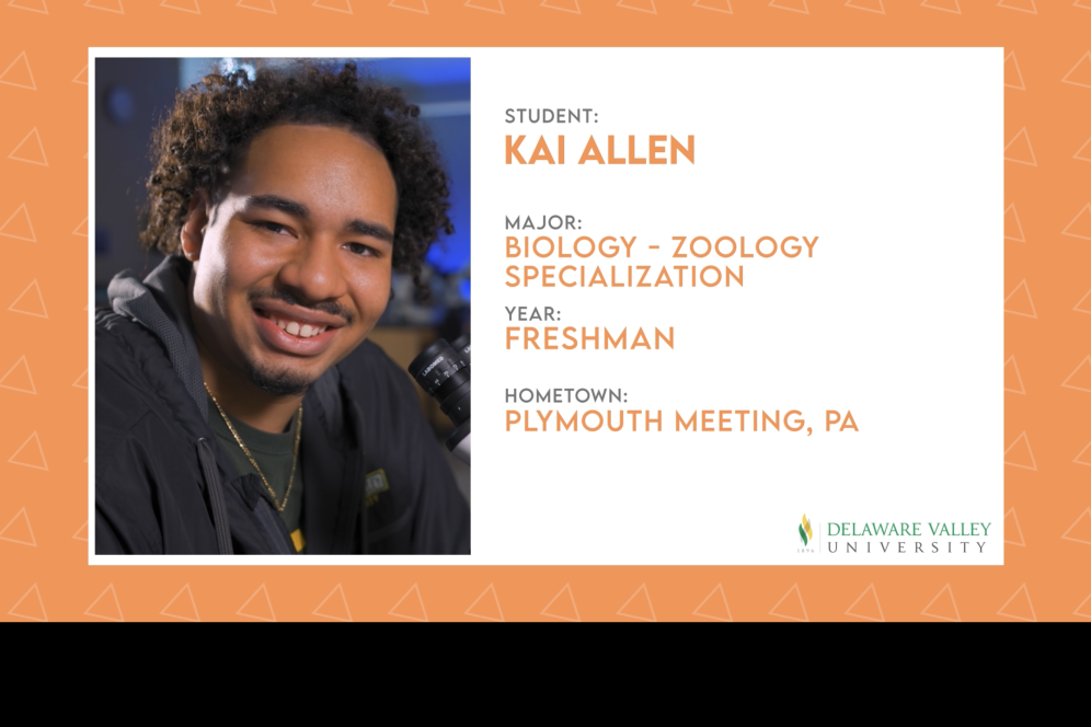 Kai Allen key frame