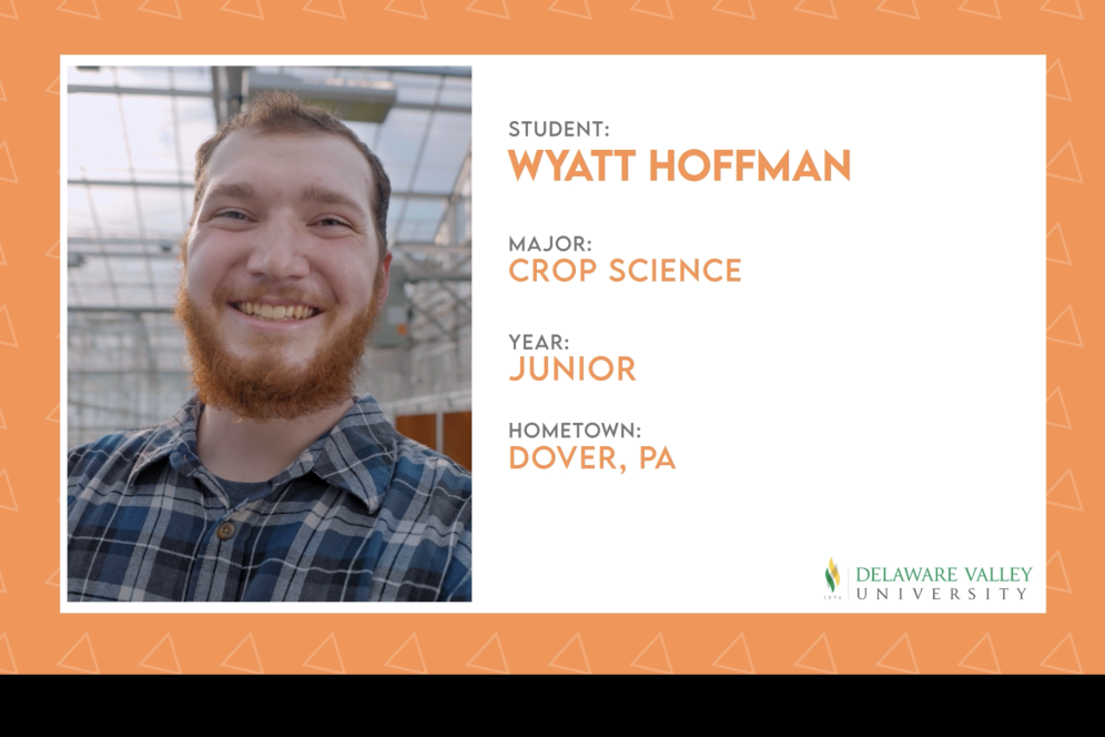 Wyatt Hoffman key frame