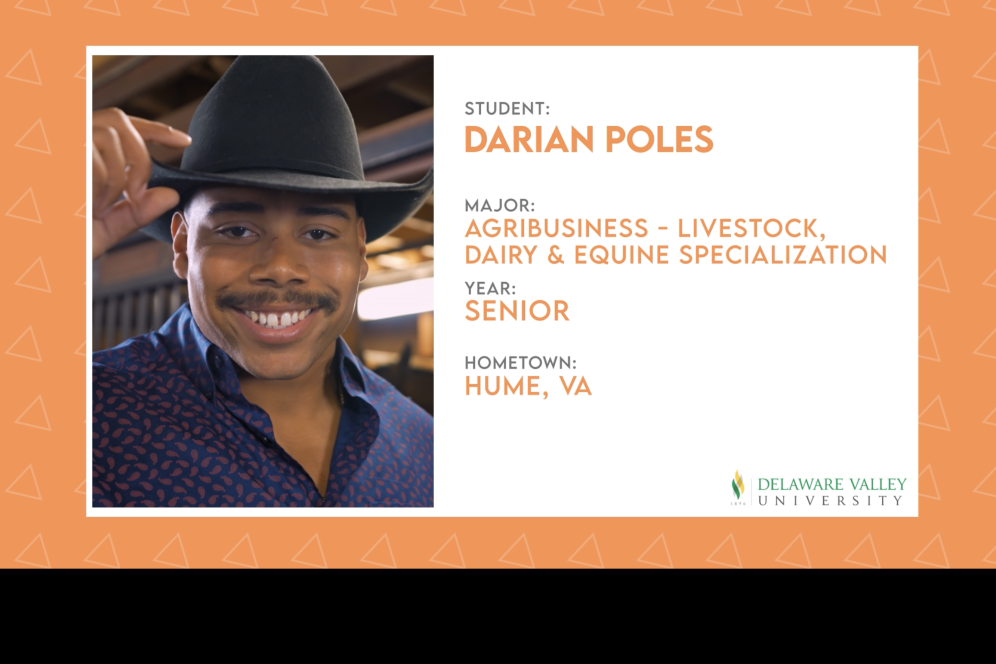 Darian Poles