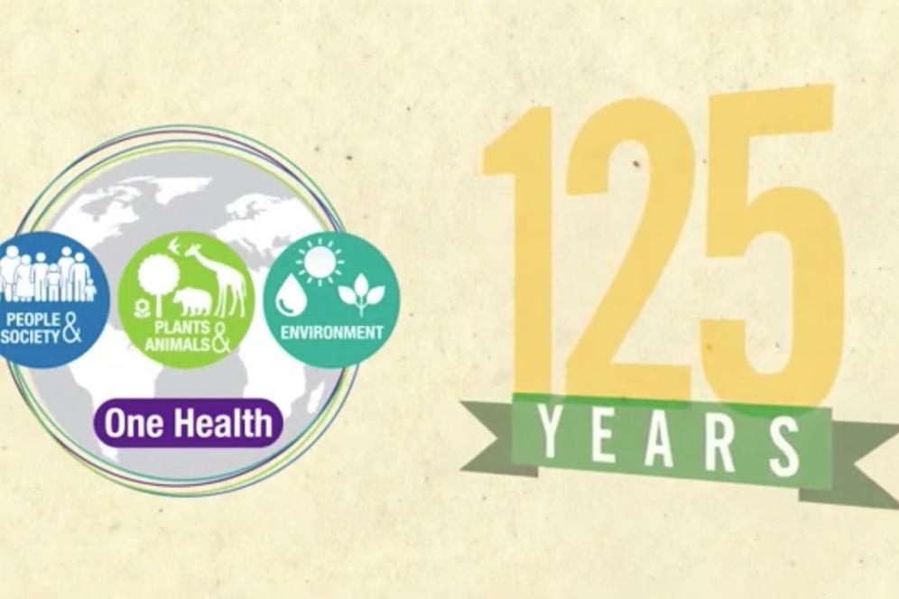 One Health video cover image
