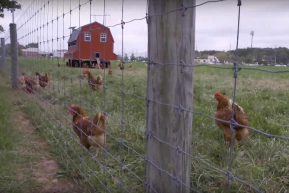 roth farm video cover