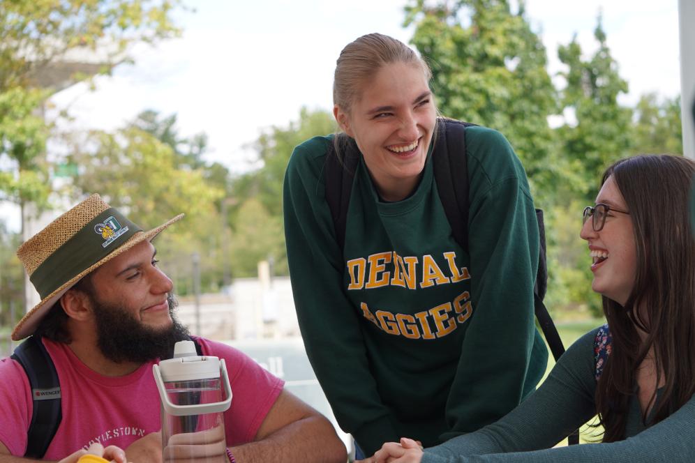 Students are laughing together outside seated on a bench.
